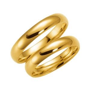 Schalins Romans 273-4